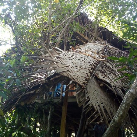 Mermaid Cabana And Tree Houses Тангале Екстериор снимка