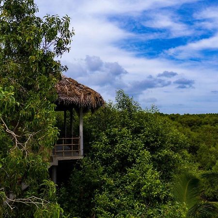 Mermaid Cabana And Tree Houses Тангале Екстериор снимка