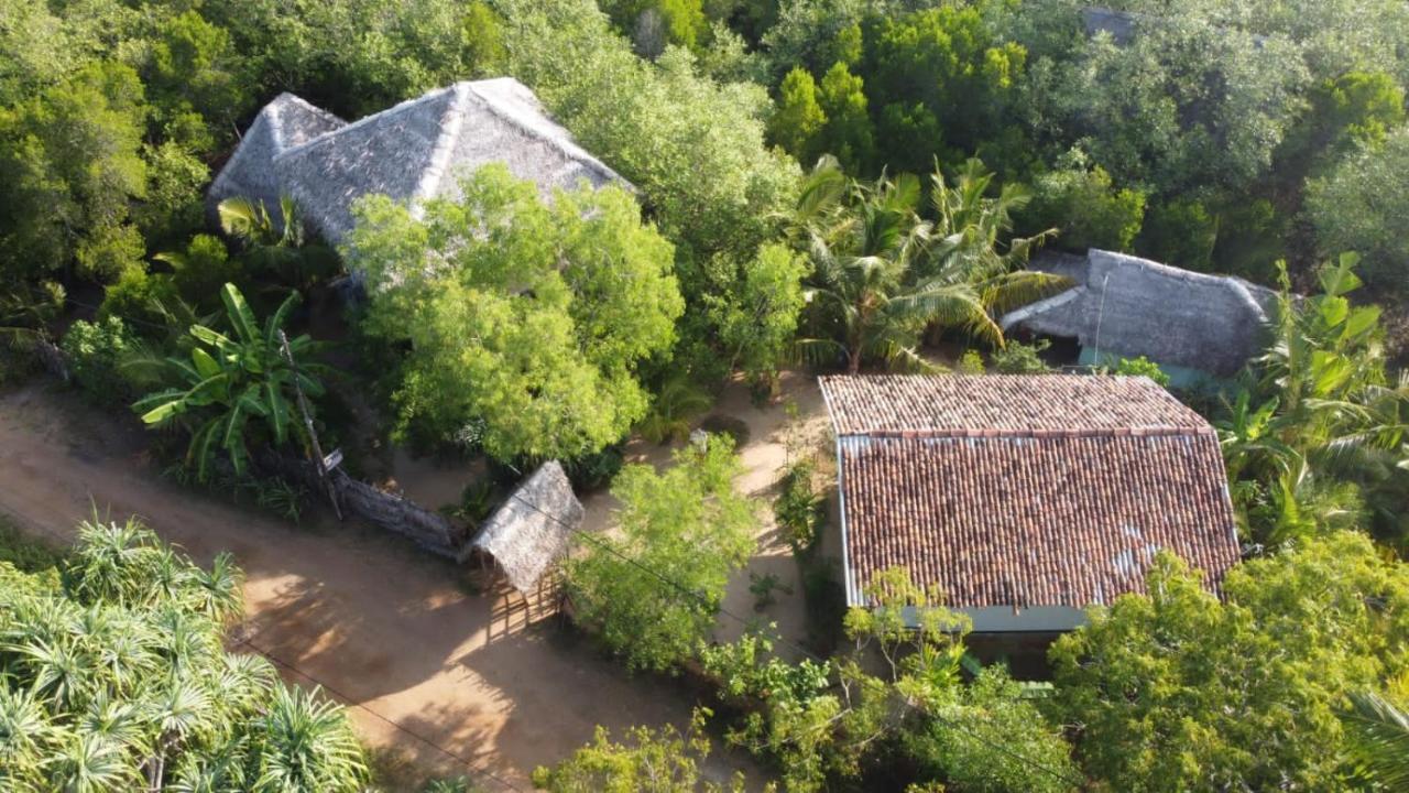 Mermaid Cabana And Tree Houses Тангале Екстериор снимка