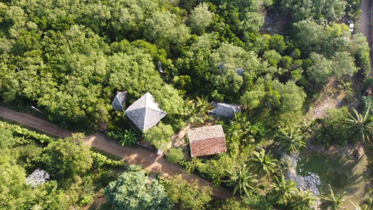 Mermaid Cabana And Tree Houses Тангале Стая снимка