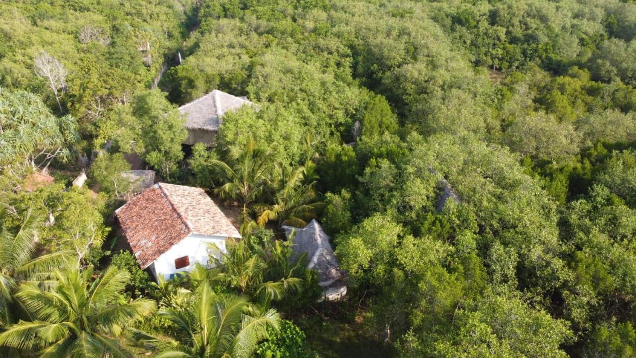 Mermaid Cabana And Tree Houses Тангале Стая снимка