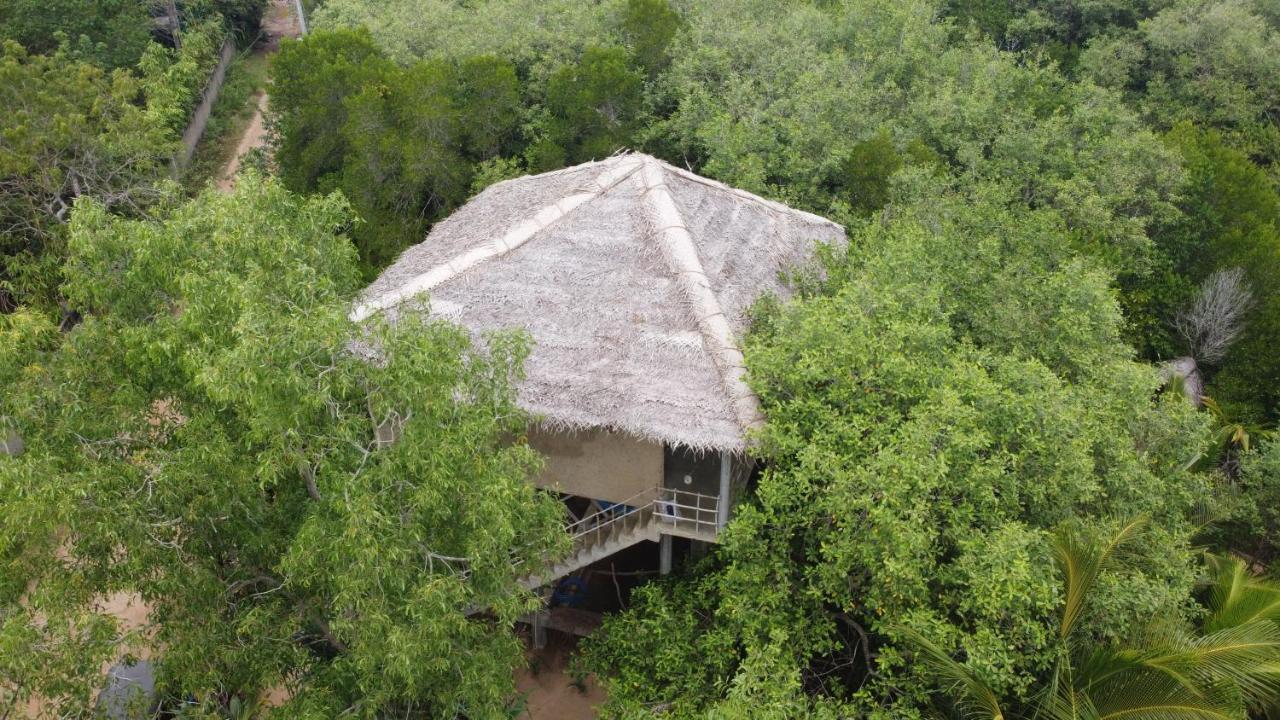Mermaid Cabana And Tree Houses Тангале Екстериор снимка