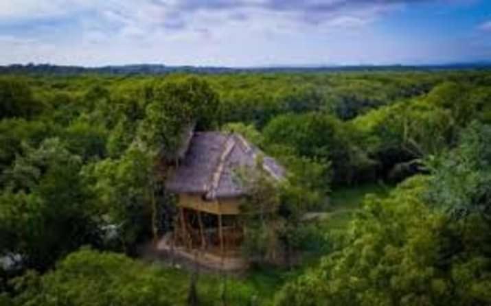 Mermaid Cabana And Tree Houses Тангале Екстериор снимка