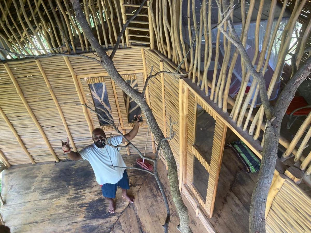 Mermaid Cabana And Tree Houses Тангале Екстериор снимка