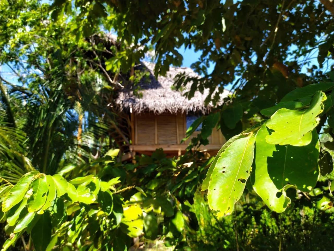 Mermaid Cabana And Tree Houses Тангале Стая снимка