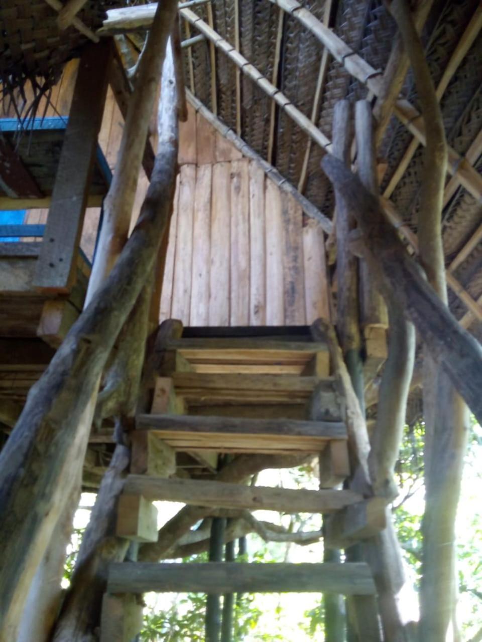 Mermaid Cabana And Tree Houses Тангале Стая снимка