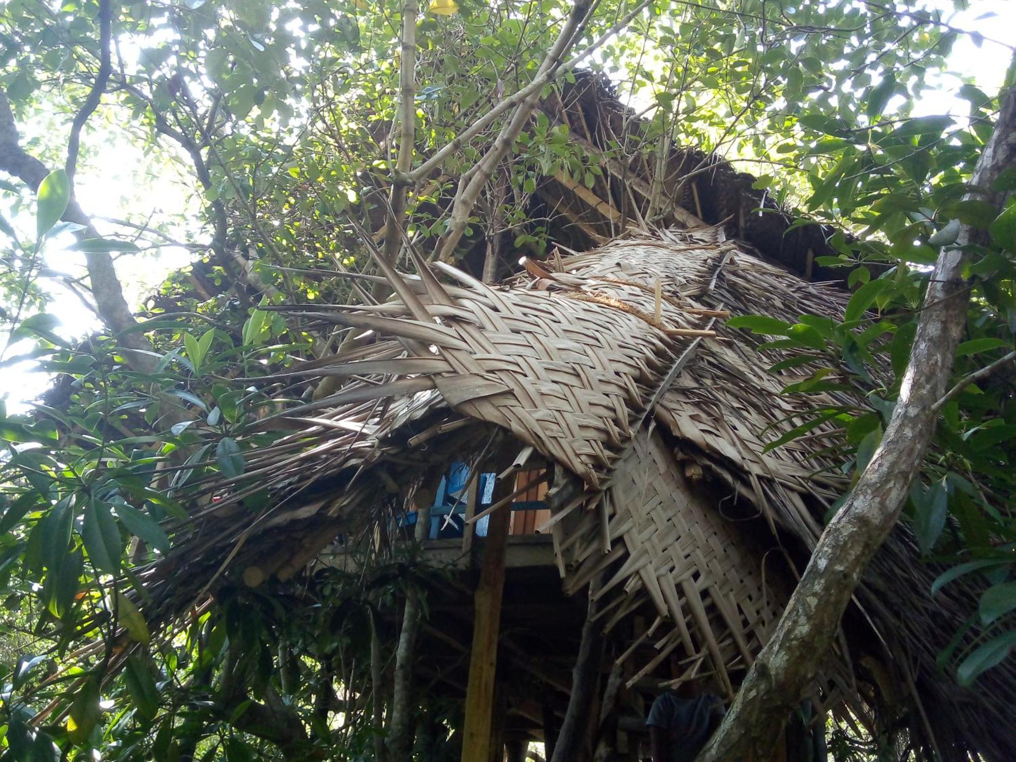 Mermaid Cabana And Tree Houses Тангале Екстериор снимка