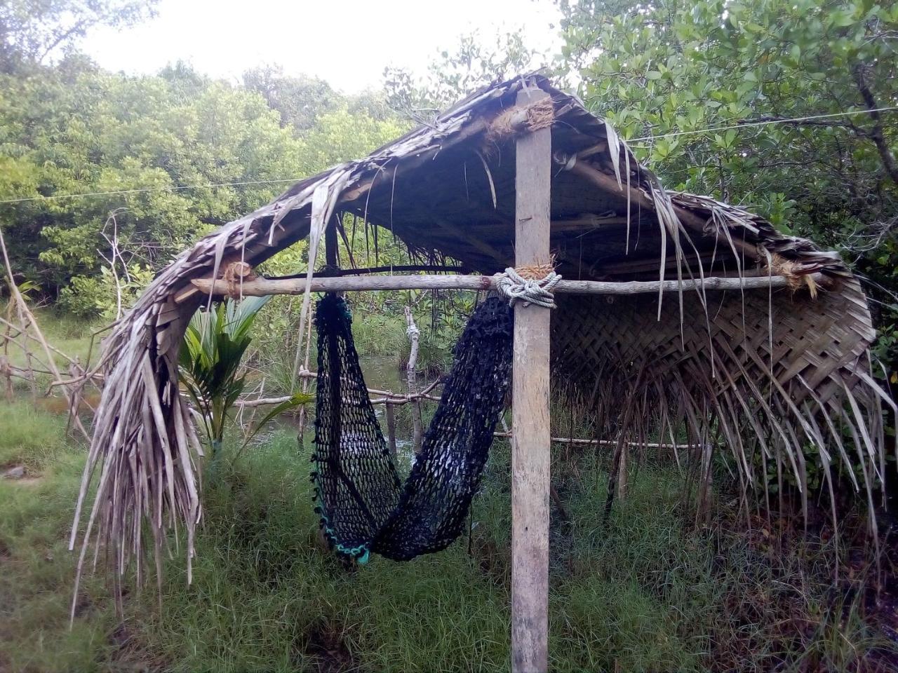 Mermaid Cabana And Tree Houses Тангале Екстериор снимка