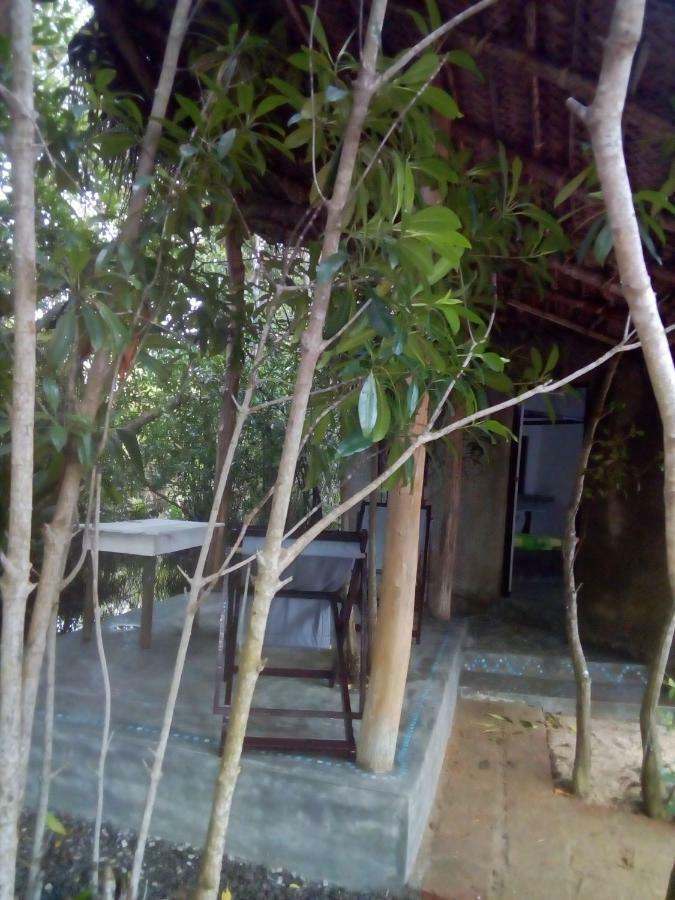 Mermaid Cabana And Tree Houses Тангале Екстериор снимка