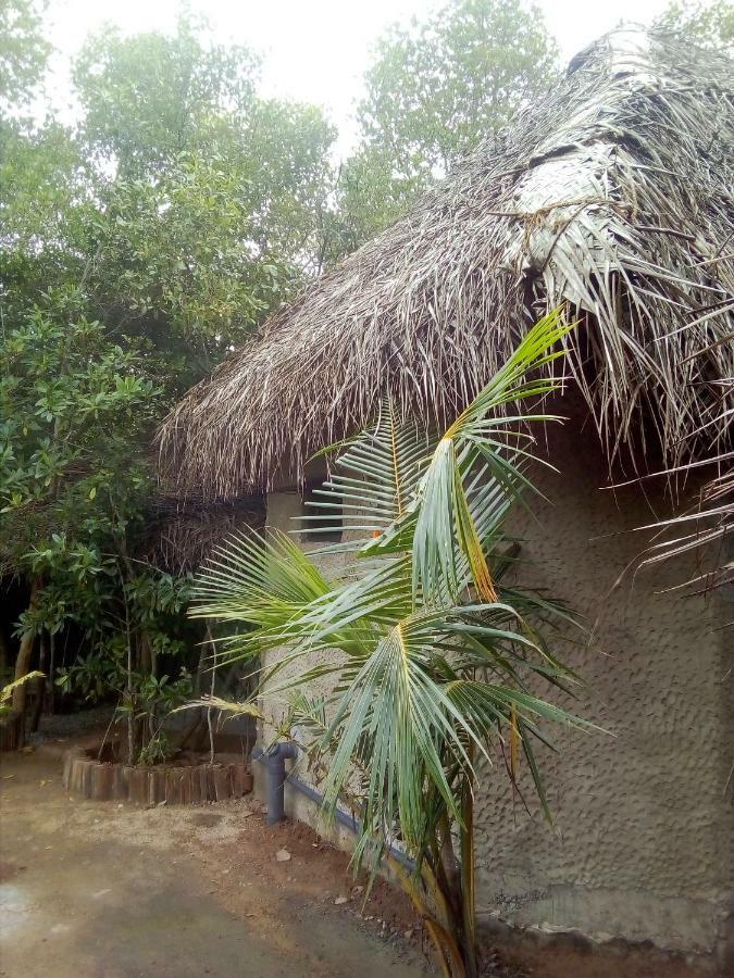 Mermaid Cabana And Tree Houses Тангале Екстериор снимка