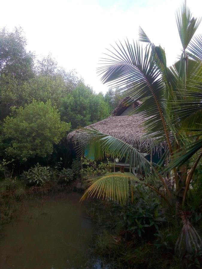 Mermaid Cabana And Tree Houses Тангале Екстериор снимка