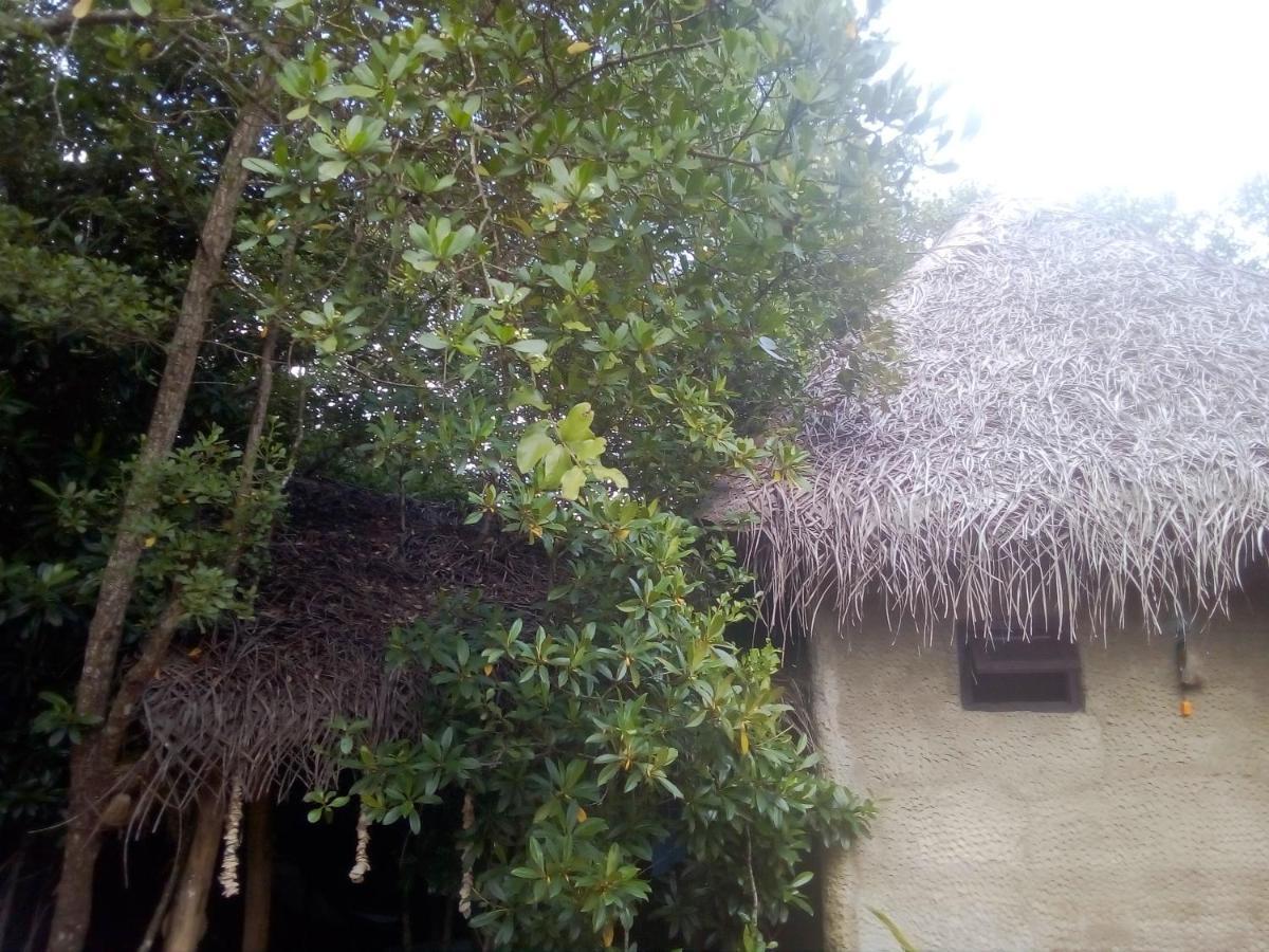 Mermaid Cabana And Tree Houses Тангале Екстериор снимка