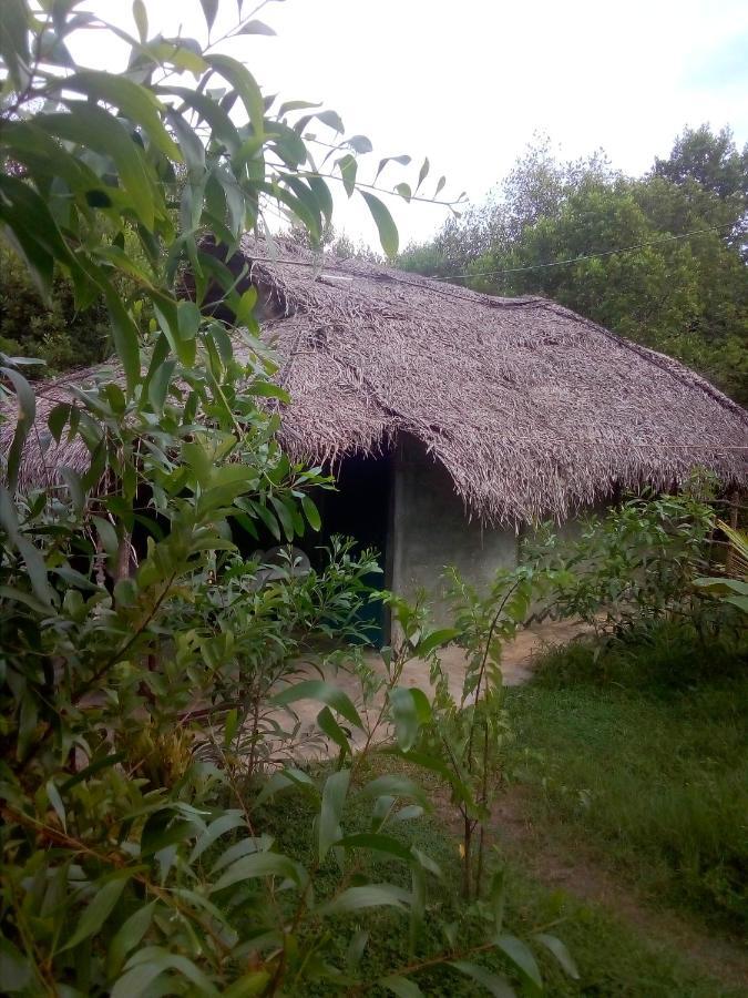 Mermaid Cabana And Tree Houses Тангале Екстериор снимка