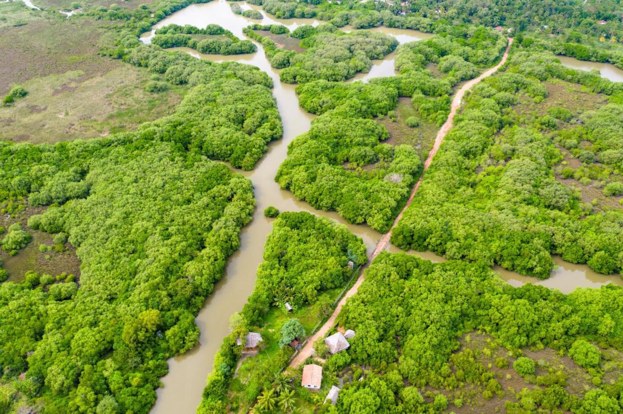 Mermaid Cabana And Tree Houses Тангале Екстериор снимка