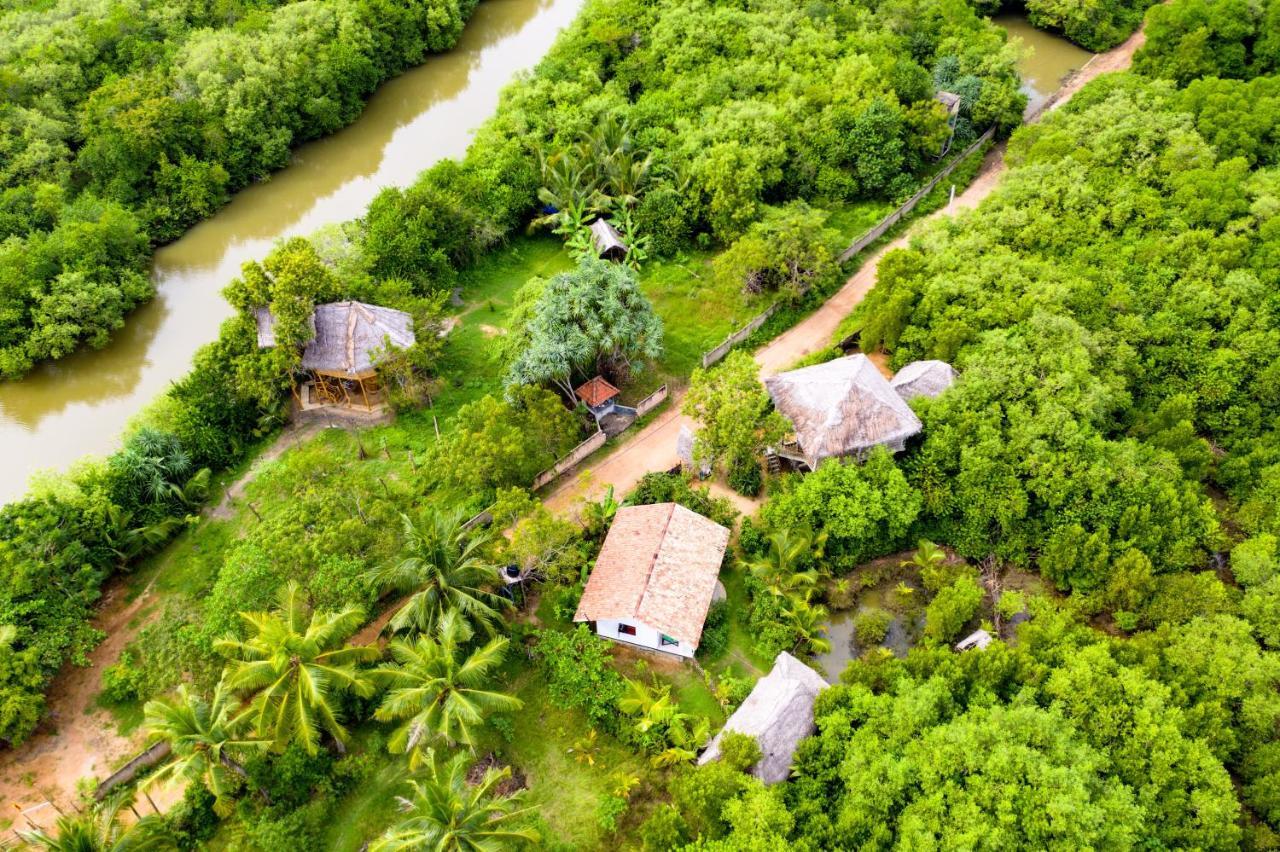 Mermaid Cabana And Tree Houses Тангале Екстериор снимка