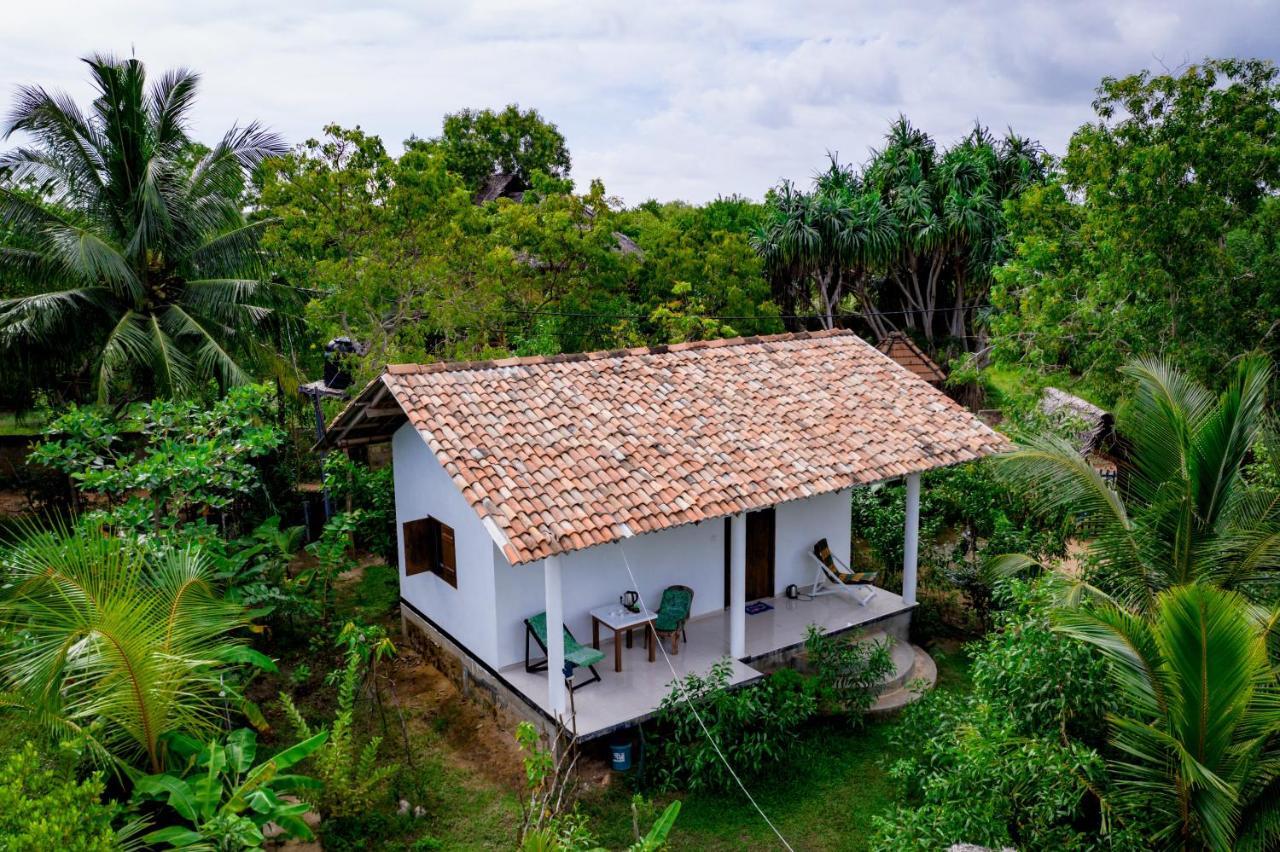 Mermaid Cabana And Tree Houses Тангале Екстериор снимка