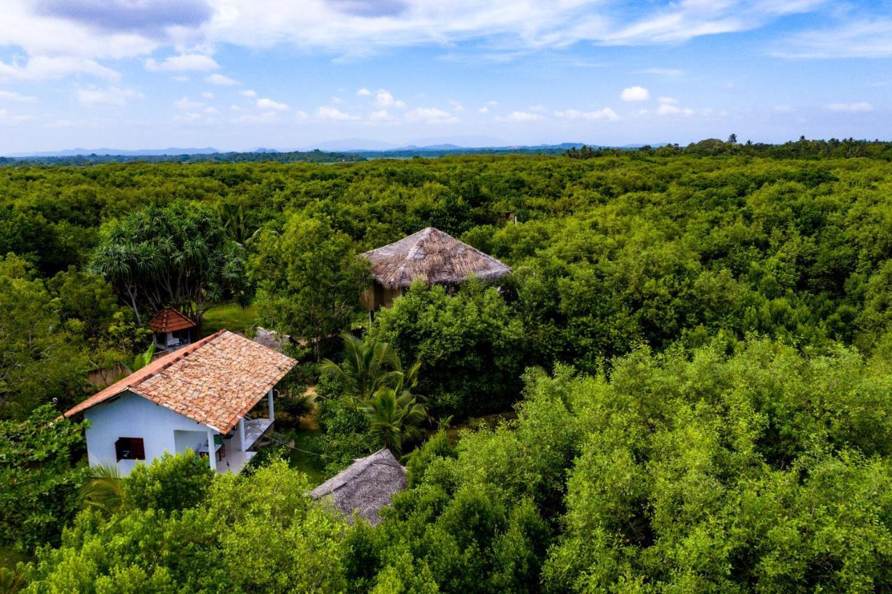 Mermaid Cabana And Tree Houses Тангале Екстериор снимка