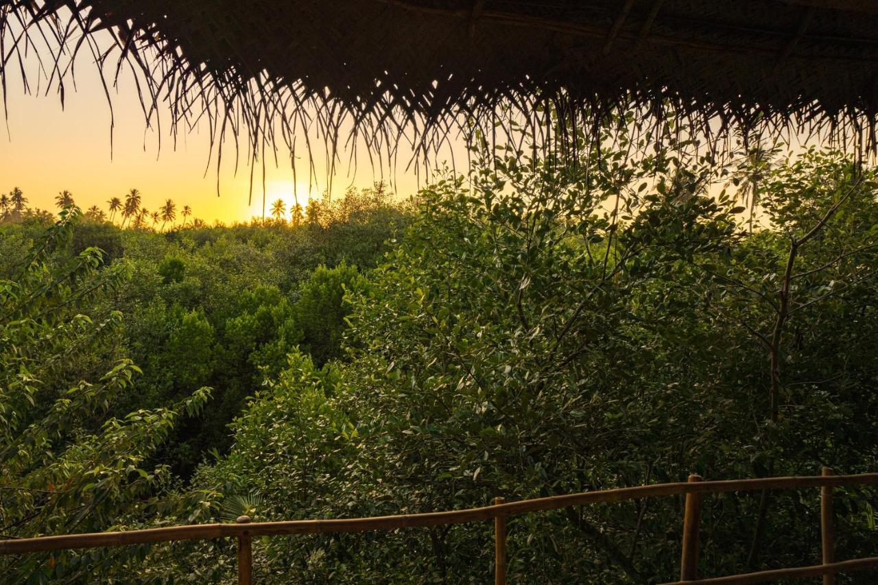 Mermaid Cabana And Tree Houses Тангале Екстериор снимка