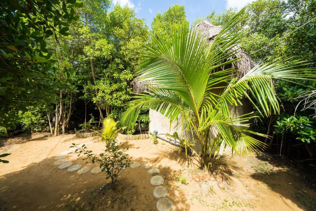 Mermaid Cabana And Tree Houses Тангале Екстериор снимка